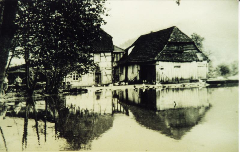 Neudahner Weiher im Pfälzer Wald